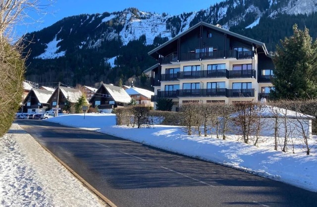 STUDIO COIN MONTAGNE THOLLON LES MEMISES