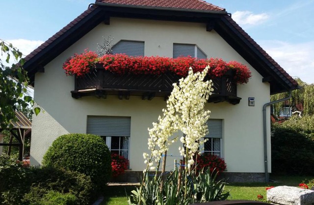 Studio Orchidee