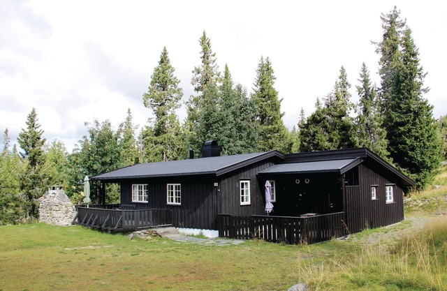 Stunning home in Sjusjøen with kitchen
