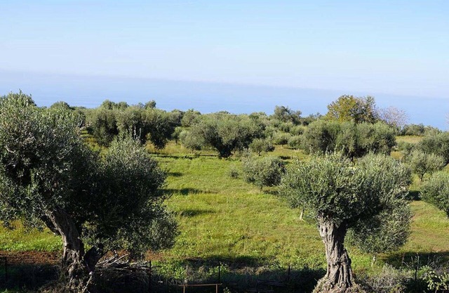 Stunning villa for 2 guests with WIFI, TV, patio, panoramic view and parking