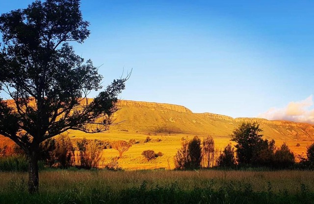 SUMMER PLACE