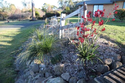 Summit Rural peace10 mins from Launceston