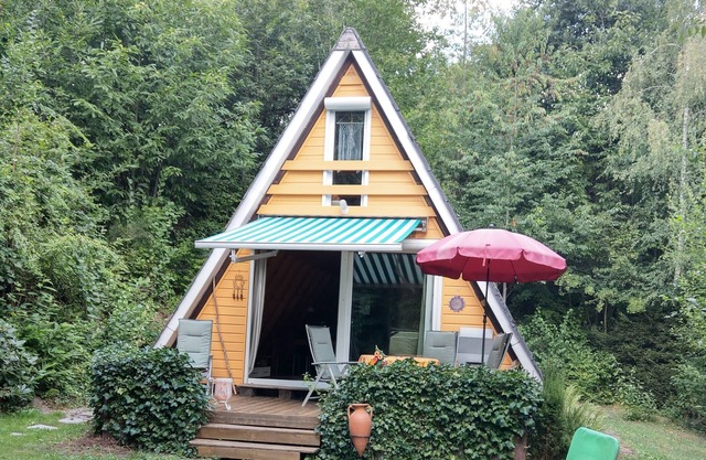 Sunny holiday house with a clearing in the woods