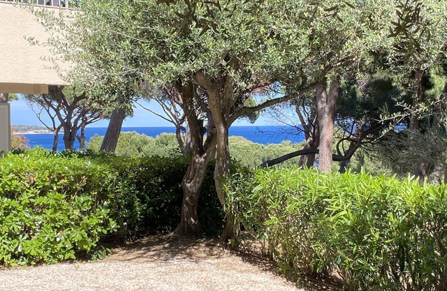 Superb air-conditioned apartment with sea view in a residence with swimming pool at La Nartelle