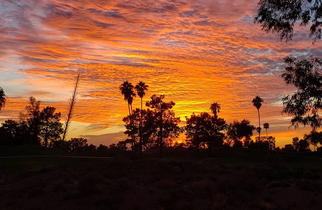 Superstition Lakes Condo on Golf Course - Large Patio with Hole #18 Views!