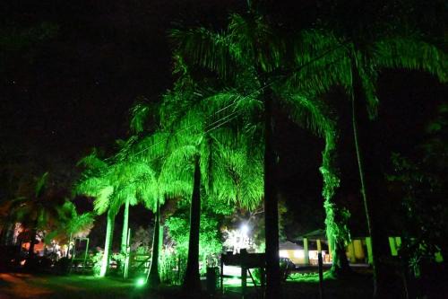Tangaras da Serra