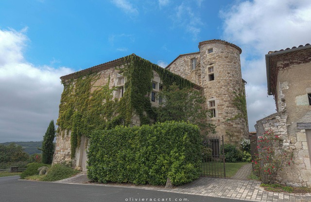 TARN, NEAR CORDES SUR CIEL, SMALL FAMILY CHATEAU WITH COTTAGE