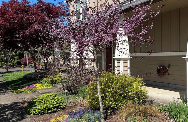 The Albany Guest House