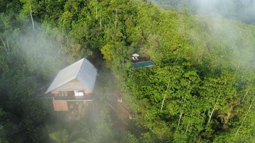 The Ark Sri Lanka