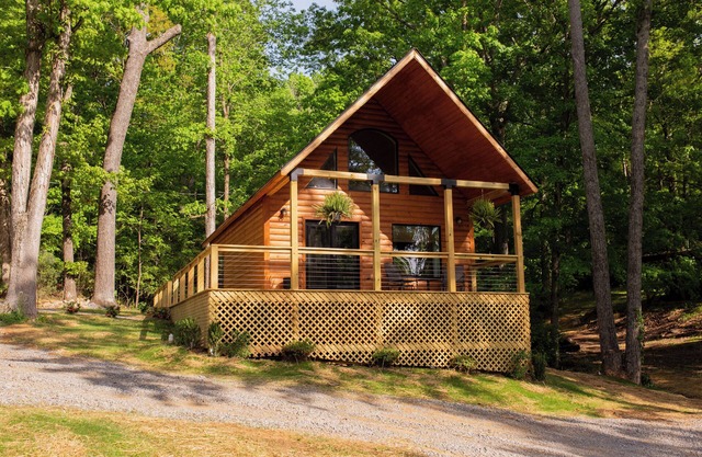 The Cozy Cabin - luxury haven- Loft
