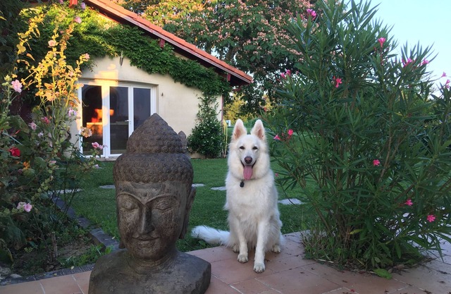 The Farm Buddhas, near Dax, 40mn Seignosse/Bayonne, sleeps 4-6