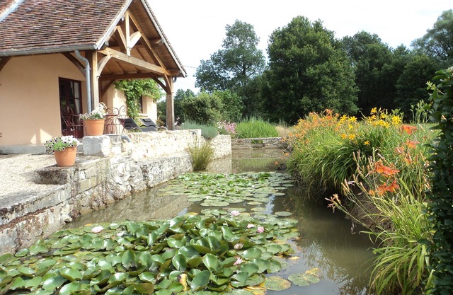 The kingfisher, approved Valeurs Regional Natural Park lodge