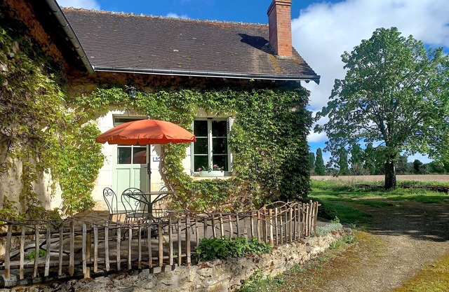 The lime tree lodge, a cocoon in lush greenery.