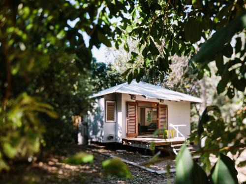 The Little Bush Hut