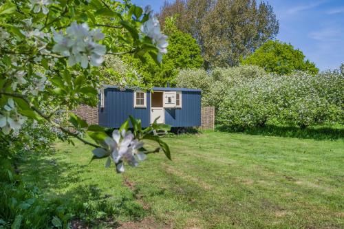 The Orchard Hut