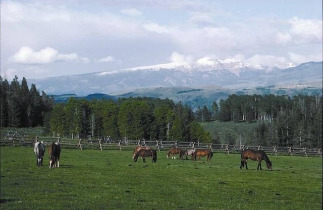 The Ritz at the Historic Trail Creek Ranch