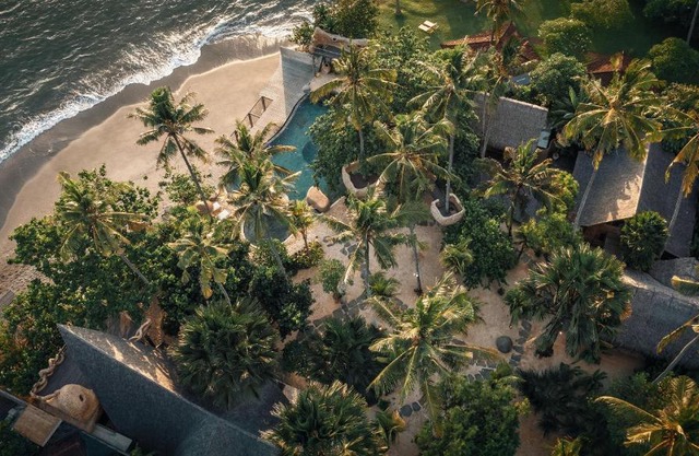The Seed Bali