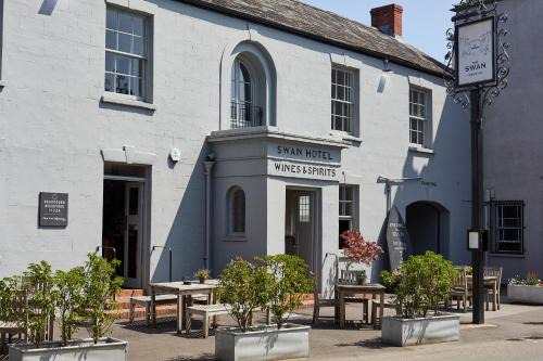 The Swan