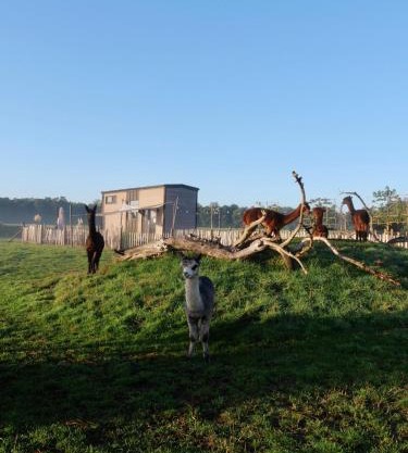 Tiny House Alpakablick - inklusive gratis Alpaka Meet & Greet