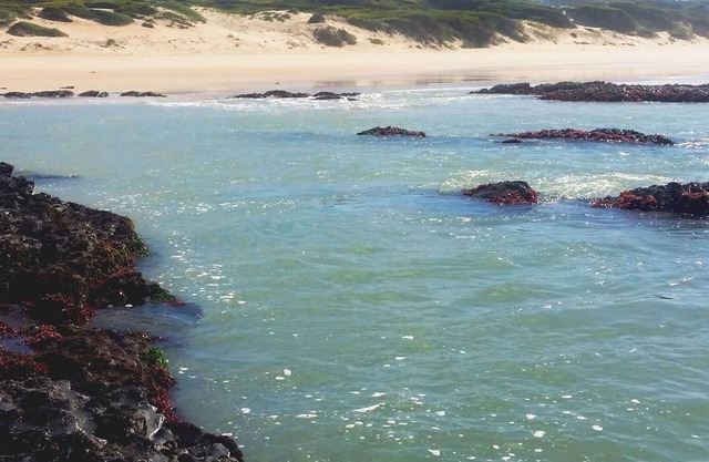TRANQUIL BEACH SETTING CLOSE TO WORLD FAMOUS SURFING VENUES AND AIRPORT.