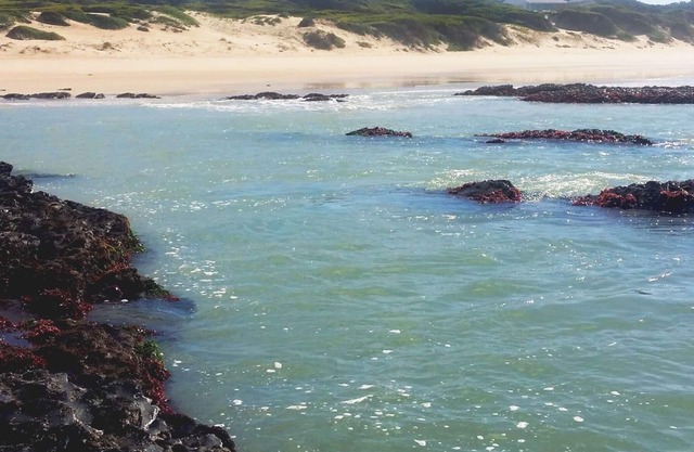 TRANQUIL BEACH SETTING CLOSE TO WORLD FAMOUS SURFING VENUES AND AIRPORT