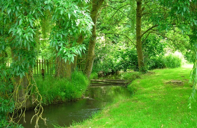 Tranquil riverside cottage in grounds of watermill.