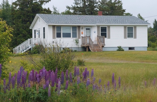 Treat yourself to Oceanside Bay views and stunning Downeast Maine!