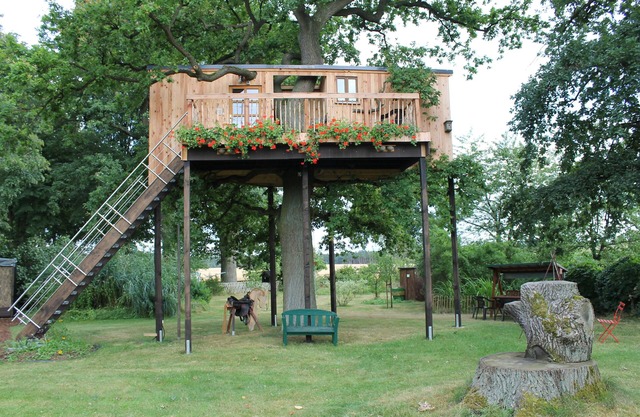 Tree house in 200-year-old oak - share with all the other tree dwellers KEINEHUNDE
