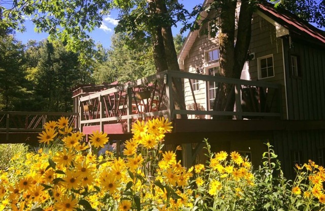 Tree house lots birds great location . . lots to do all summer long .