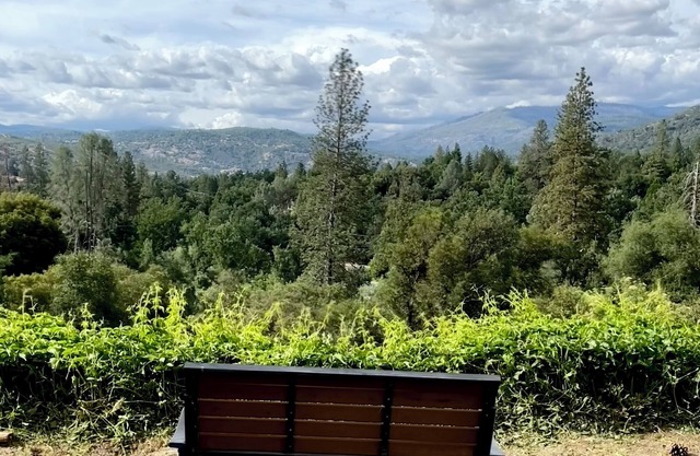 Tree top views/2BD 2BA/17 mi YOSE south gate/8.6 mi Bass Lake/dog friendly