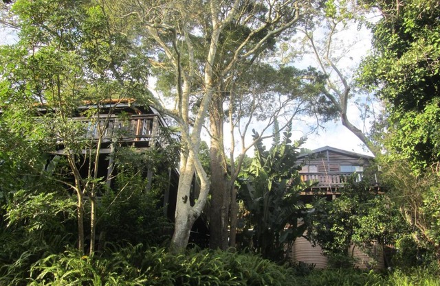Treehouse Cottage