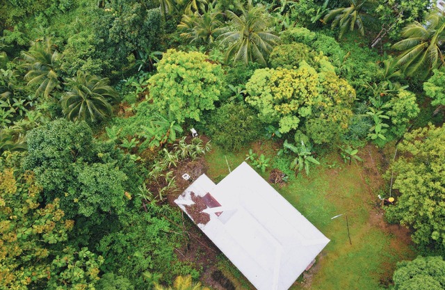 Tropical Rain For Us: Eco OffGrid Retreat Venue with WiFi - Airy Castle, Jamaica