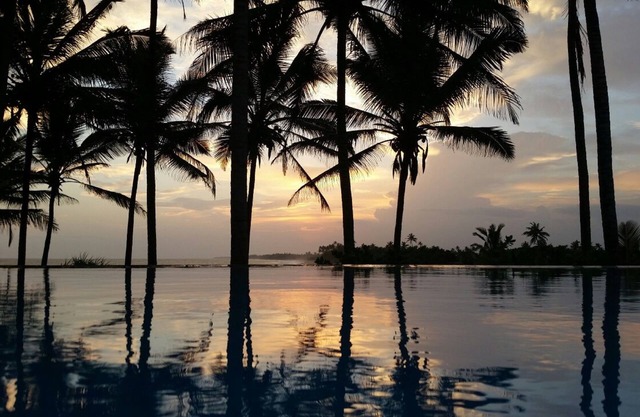 Turtle Bay