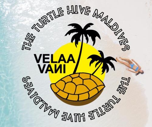 Turtle Hive - Velaa Vani