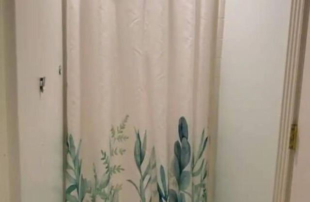 Two Bedroom Unit in basement of Victorian