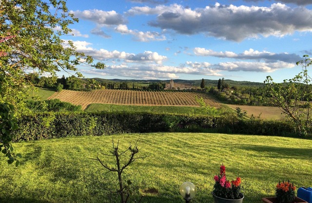 Under the Tuscan sun