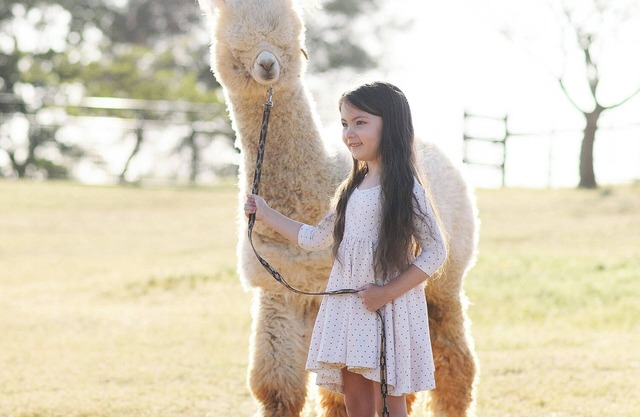Unique Experience on a Working Alpacas Ranch.