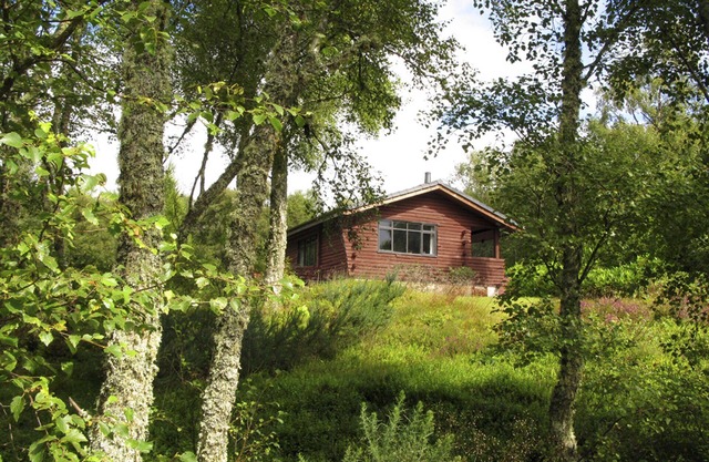 Unique, Solo Log Cabin In Private Woodland With Views To Sea And Local Hills