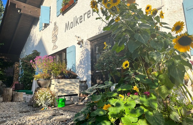 Vacation apartment/apartment for 12 guests with 200m² in Bernbeuren (116897)