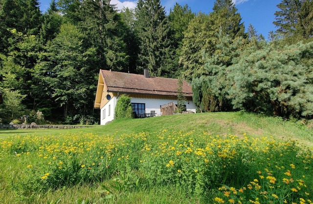 Vacation in the forest - experience nature