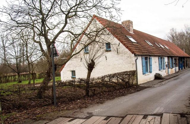 Vakantiewoning De Luysmolen