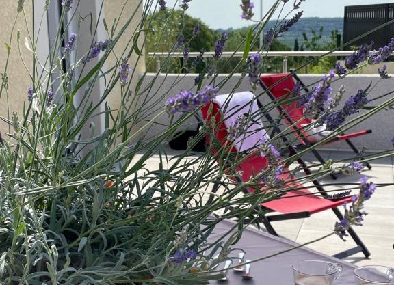 Val des Bruyères - gîte 15mn Pézenas avec terrasse et cour close - Parking privatif securisé - wifi FTTH gratuit