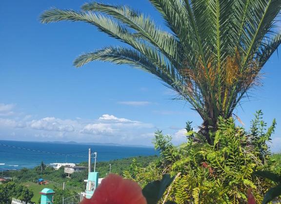 Vieques en el Aire