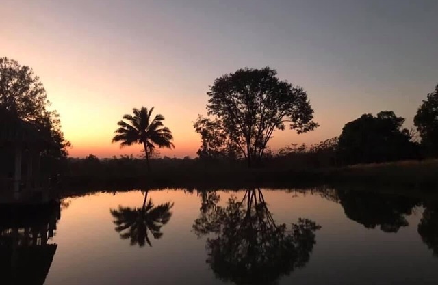 Viewsuay Farsai Wangnamkaew
