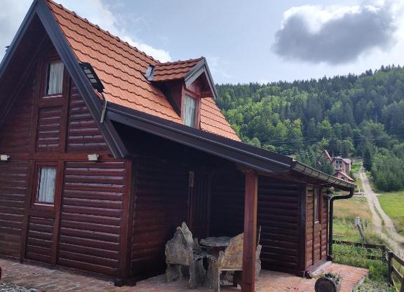 Vila Carobna suma Tara