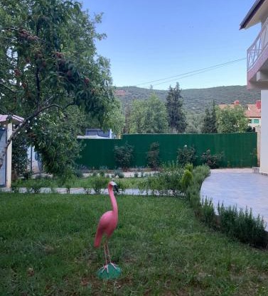 Villa ain soltan