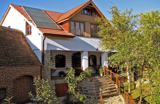 VILLA CRINA Transylvania villa for high demands at the Carpathian foothills