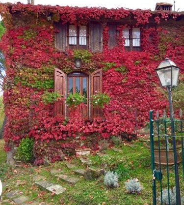 Villa del lago