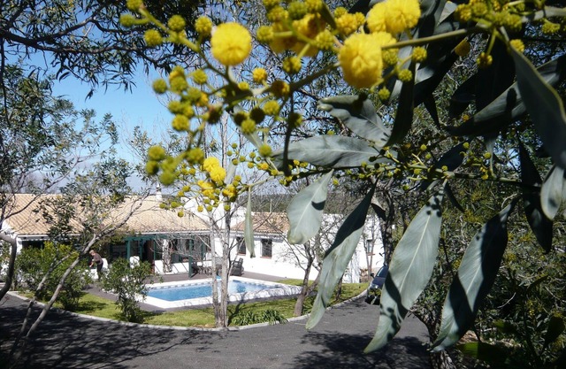 Villa located in Algavre in the heart of a typical Portuguese village
