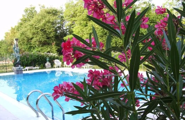 Villa Navagero-Erizzo Barchessa 2G